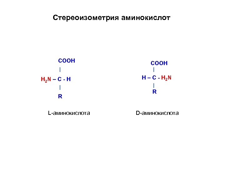 Стереоизометрия аминокислот COOH Н 2 N – C - H R L-аминокислота COOH H
