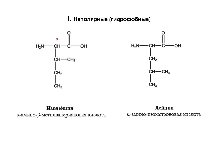 I. Неполярные (гидрофобные) α Изолейцин α-амино-β-метилвалериановая кислота Лейцин α-амино-изокапроновая кислота 