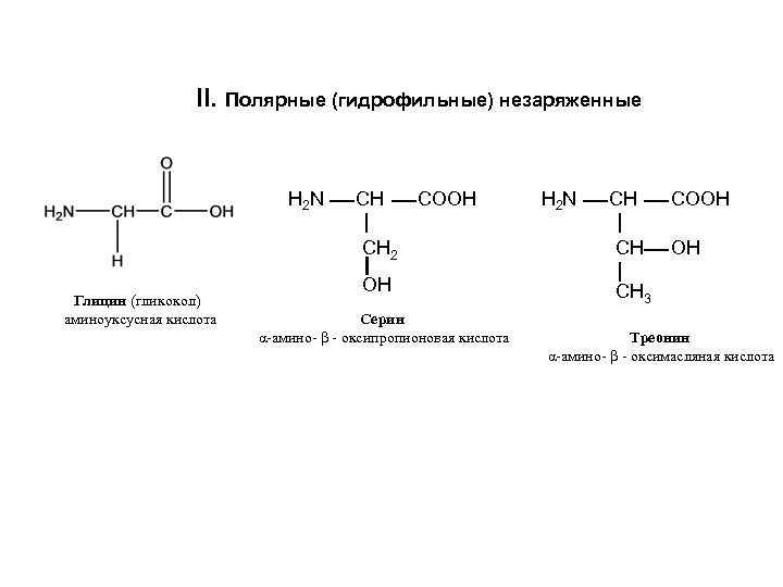 II. Полярные (гидрофильные) незаряженные H 2 N СН COOH H 2 N СН СН