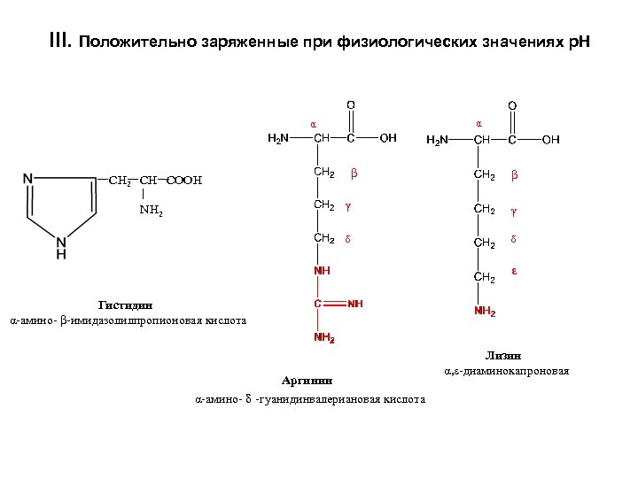 III. Положительно заряженные при физиологических значениях p. H α СН 2 СН СООН α