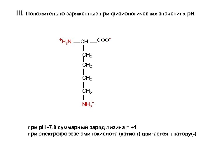 III. Положительно заряженные при физиологических значениях p. H +H N 3 СН COO- СН