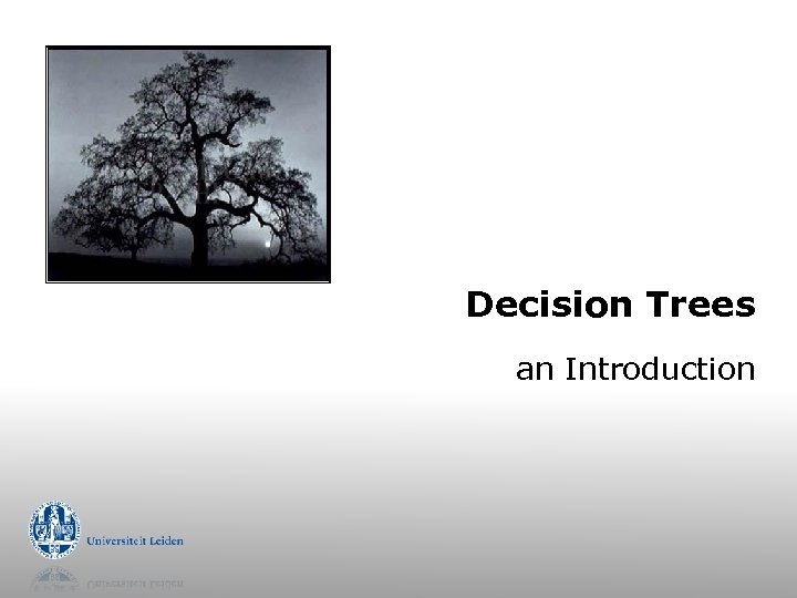Decision Trees an Introduction 