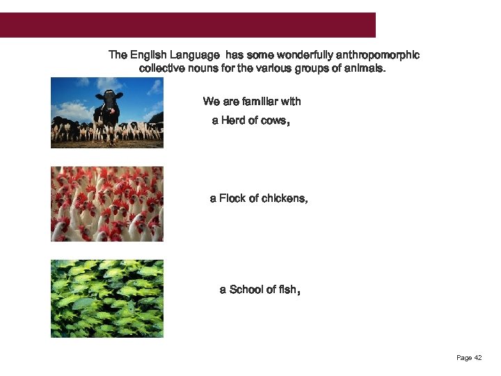 The English Language has some wonderfully anthropomorphic collective nouns for the various groups of