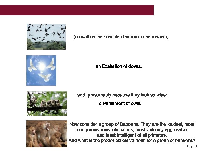 (as well as their cousins the rooks and ravens), an Exaltation of doves, and,