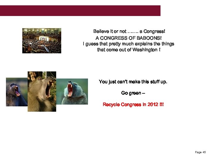 Believe it or not ……. a Congress! A CONGRESS OF BABOONS! I guess that