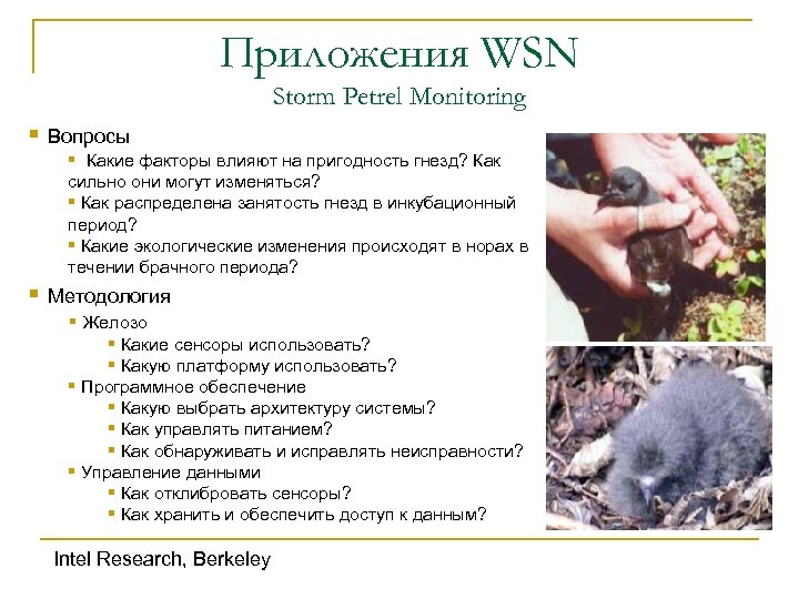 Приложения WSN Storm Petrel Monitoring § Вопросы § Какие факторы влияют на пригодность гнезд?