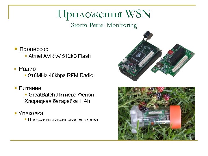 Приложения WSN Storm Petrel Monitoring § Процессор § Atmel AVR w/ 512 k. B