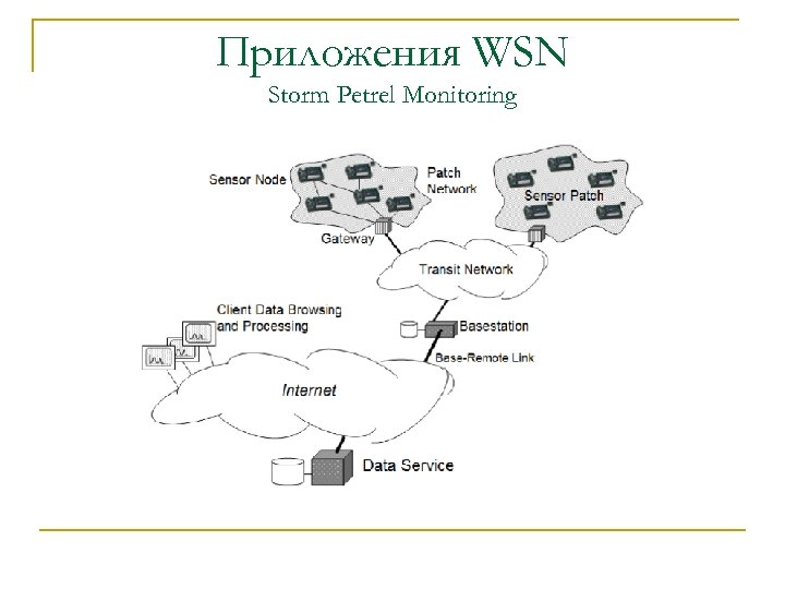 Приложения WSN Storm Petrel Monitoring 
