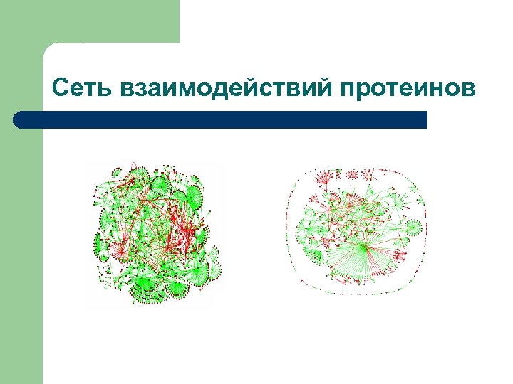 Сеть взаимодействий протеинов 