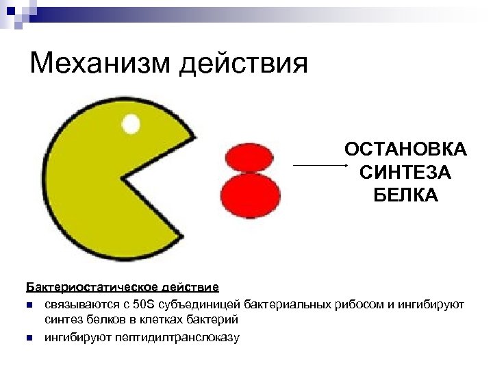 Механизм действия ОСТАНОВКА СИНТЕЗА БЕЛКА Бактериостатическое действие n связываются с 50 S субъединицей бактериальных