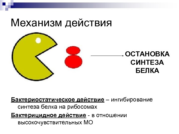 Механизм действия ОСТАНОВКА СИНТЕЗА БЕЛКА Бактериостатическое действие – ингибирование синтеза белка на рибосомах Бактерицидное