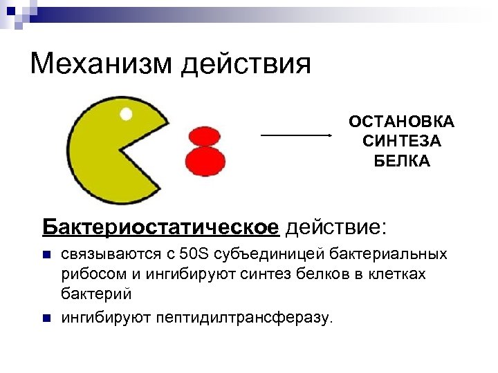 Механизм действия ОСТАНОВКА СИНТЕЗА БЕЛКА Бактериостатическое действие: n n связываются с 50 S субъединицей