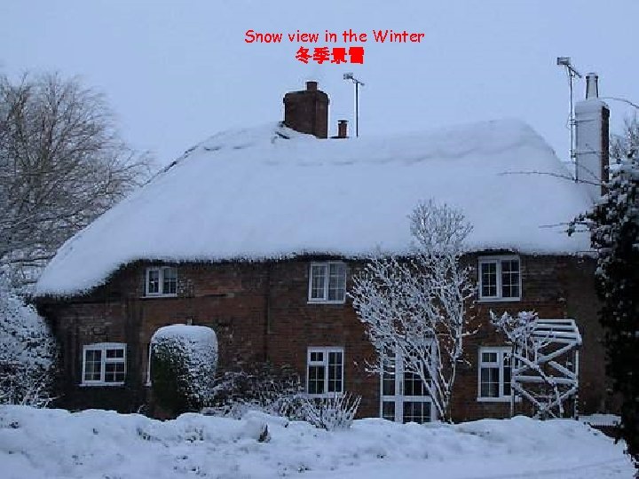 Snow view in the Winter 冬季景雪 