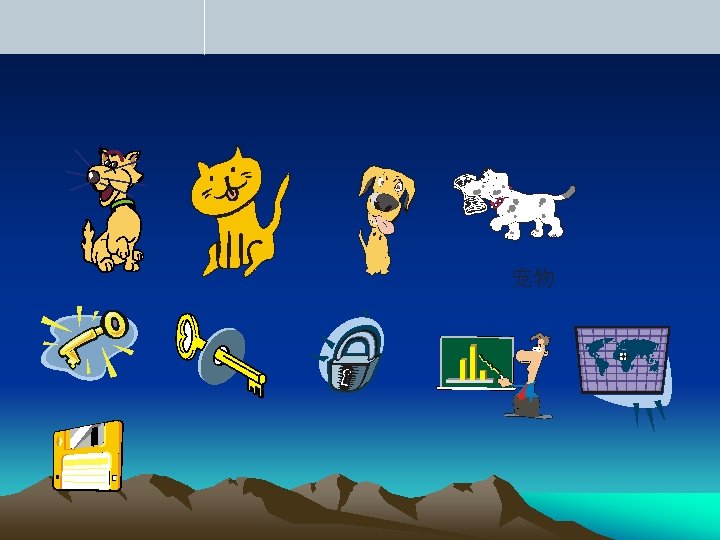 宠物 