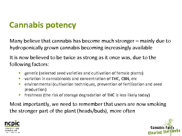 Cannabis potency Many believe that cannabis has become much stronger – mainly due to