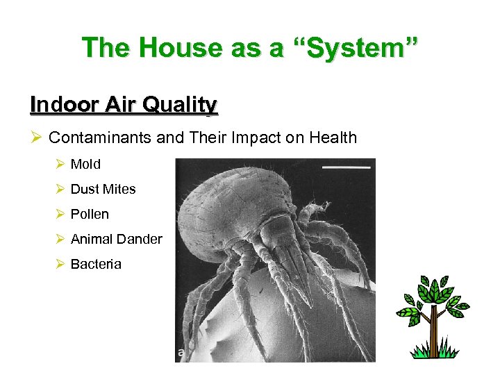 The House as a “System” Indoor Air Quality Ø Contaminants and Their Impact on