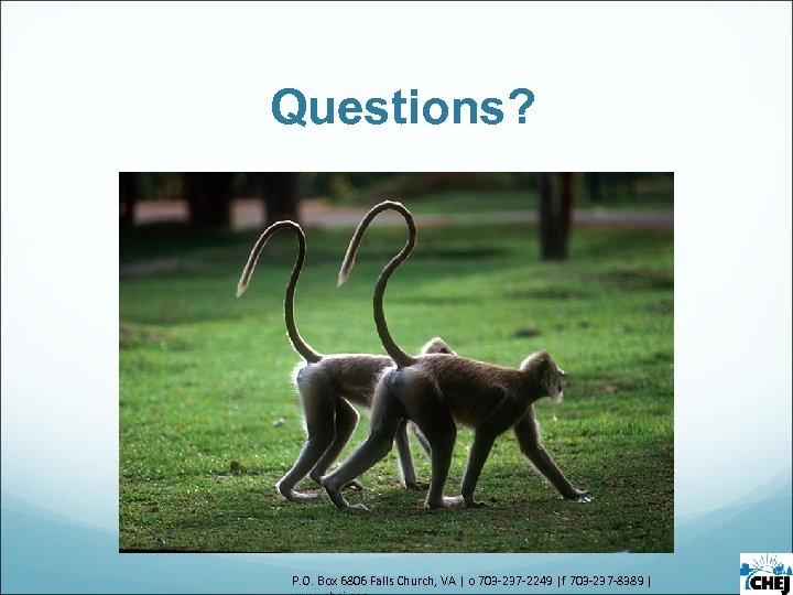 Questions? P. O. Box 6806 Falls Church, VA | o 703 -237 -2249 |f