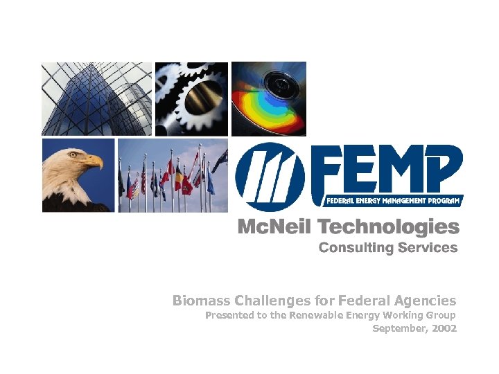 Biomass Challenges for Federal Agencies Presented to the Renewable Energy Working Group September, 2002