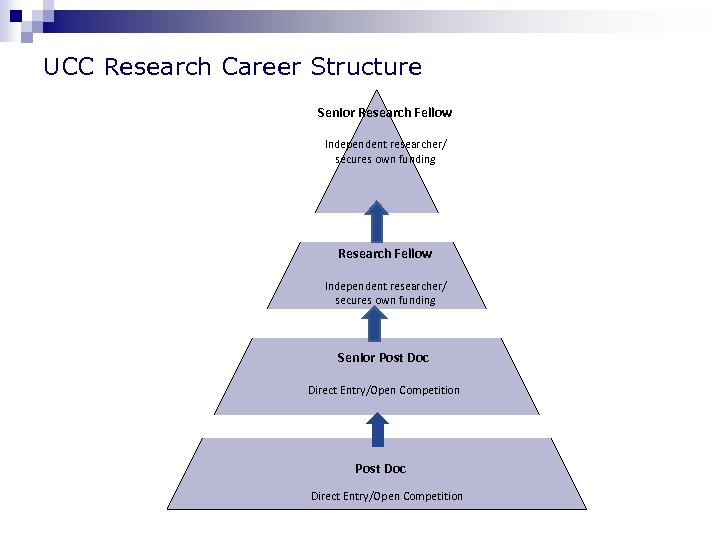 UCC Research Career Structure Senior Research Fellow Independent researcher/ secures own funding Sese Senior