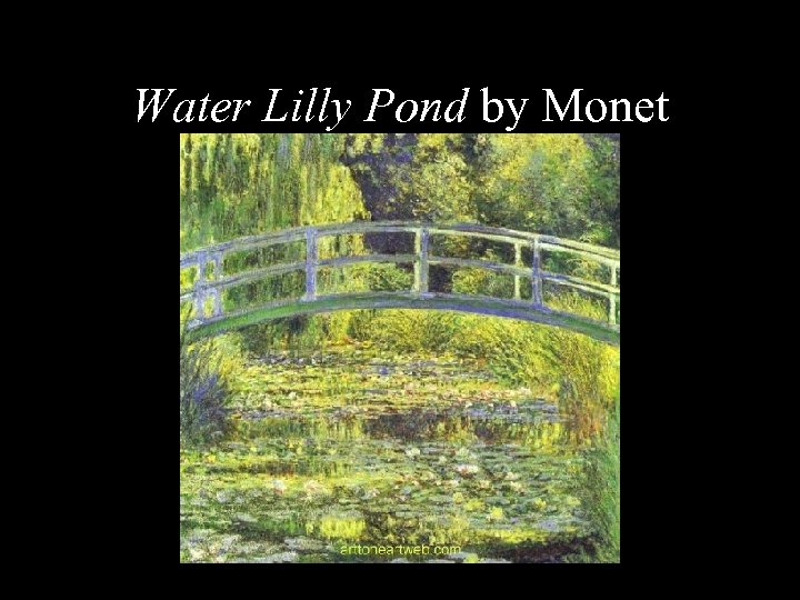 Water Lilly Pond by Monet 