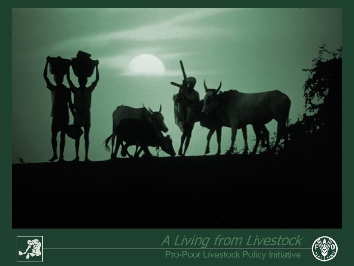 A Living from Livestock Pro-Poor Livestock Policy Initiative 