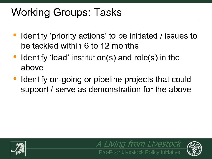 Working Groups: Tasks • • • Identify ‘priority actions’ to be initiated / issues