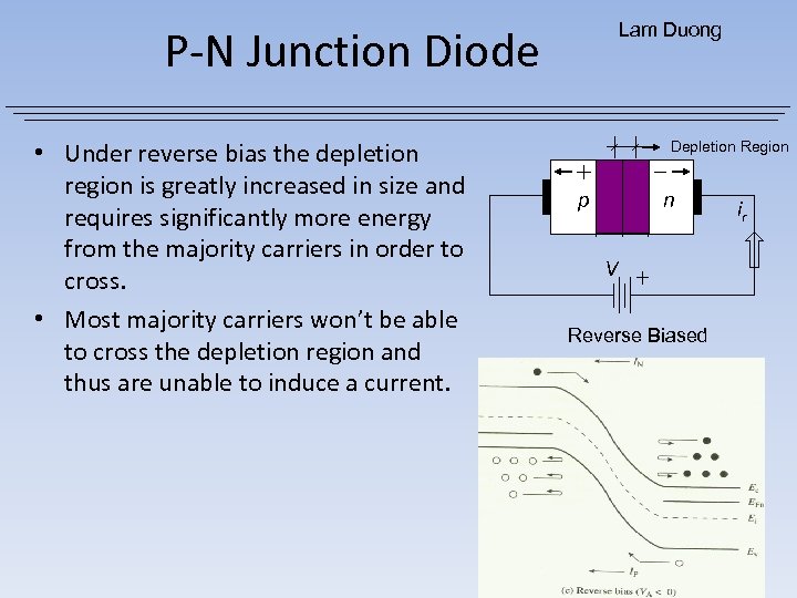 Lam Duong P-N Junction Diode • Under reverse bias the depletion region is greatly