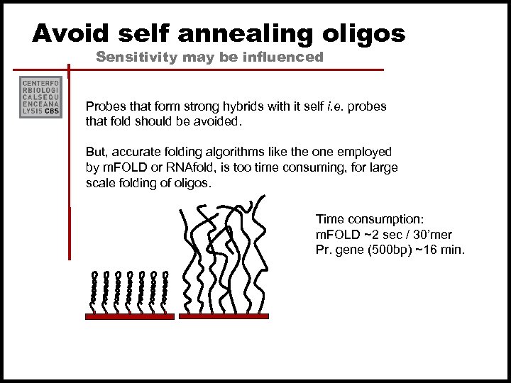 Avoid self annealing oligos Sensitivity may be influenced Probes that form strong hybrids with