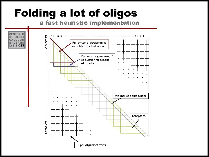 Folding a lot of oligos AT TG CT. . . . . . CG