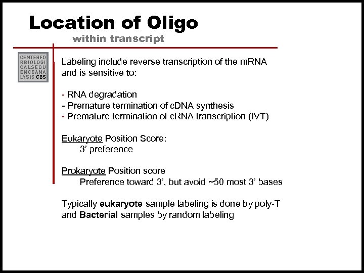 Location of Oligo within transcript Labeling include reverse transcription of the m. RNA and