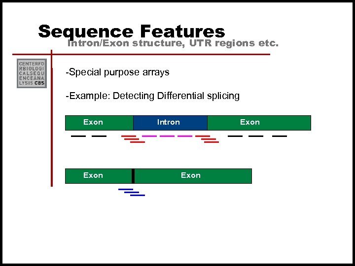 Sequence Features Intron/Exon structure, UTR regions etc. -Special purpose arrays -Example: Detecting Differential splicing