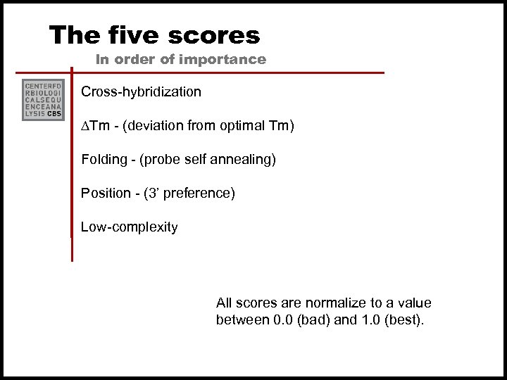 The five scores In order of importance Cross-hybridization ∆Tm - (deviation from optimal Tm)