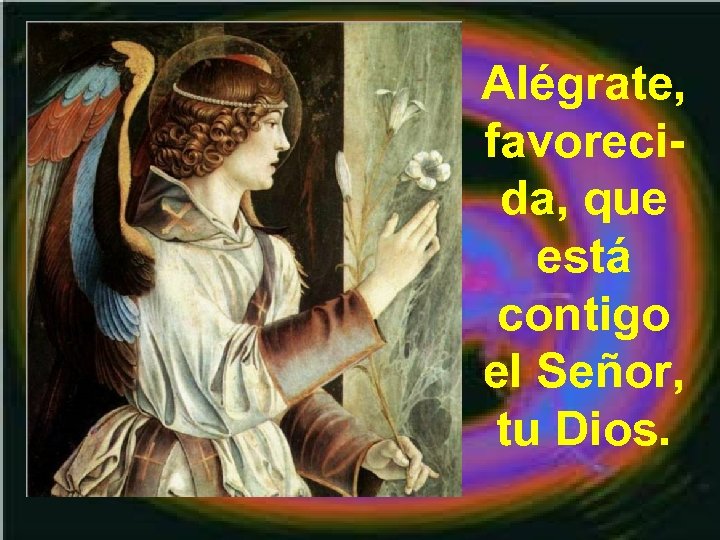 Alégrate, favorecida, que está contigo el Señor, tu Dios. 