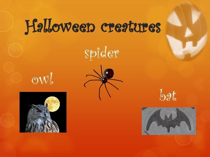 Halloween creatures spider owl bat 