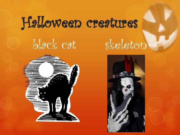 Halloween creatures black cat skeleton 