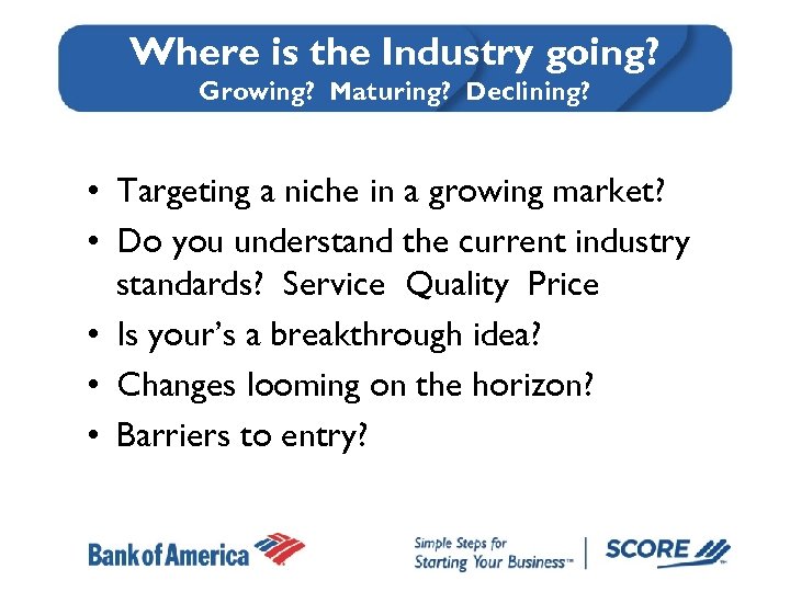 Where is the Industry going? Growing? Maturing? Declining? • Targeting a niche in a