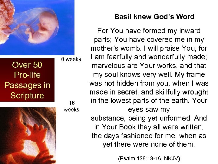 Basil knew God’s Word 8 weeks Over 50 Pro-life Passages in Scripture 18 weeks