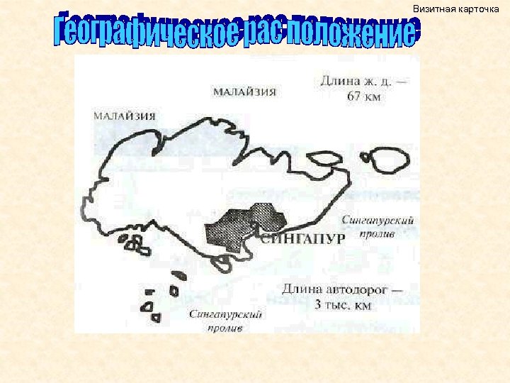 Визитная карточка 