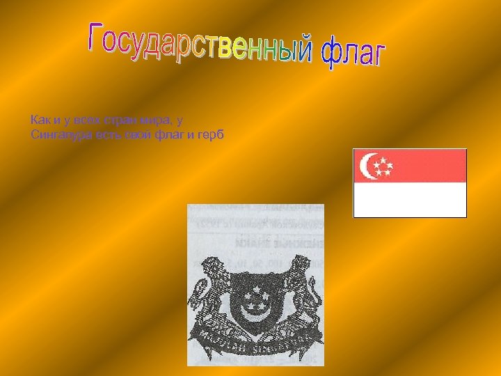 Как и у всех стран мира, у Сингапура есть свой флаг и герб 
