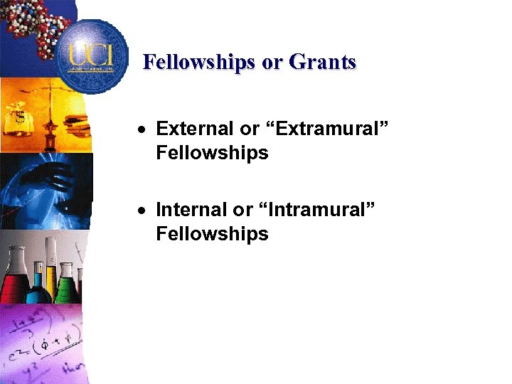 Fellowships or Grants · External or “Extramural” Fellowships · Internal or “Intramural” Fellowships 