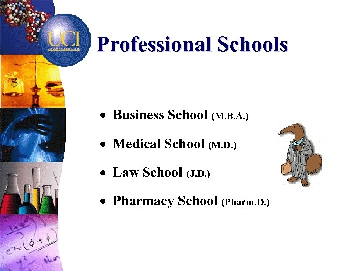 Professional Schools · Business School (M. B. A. ) · Medical School (M. D.