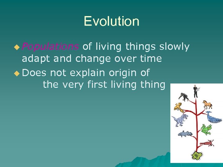 Evolution u Populations of living things slowly adapt and change over time u Does