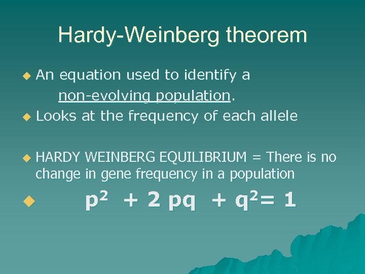 Hardy-Weinberg theorem An equation used to identify a non-evolving population. u Looks at the