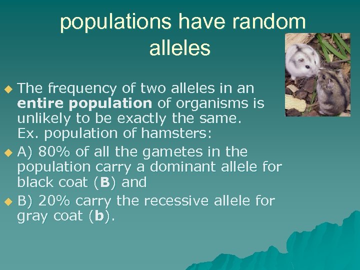 populations have random alleles The frequency of two alleles in an entire population of