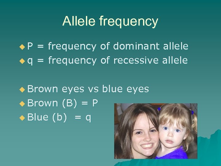 Allele frequency u. P = frequency of dominant allele u q = frequency of
