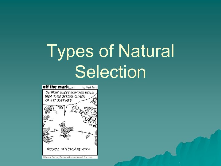 Types of Natural Selection 