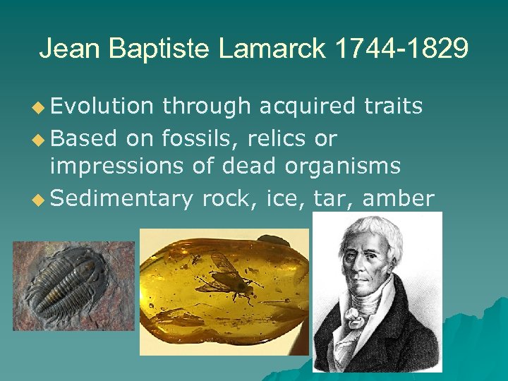 Jean Baptiste Lamarck 1744 -1829 u Evolution through acquired traits u Based on fossils,