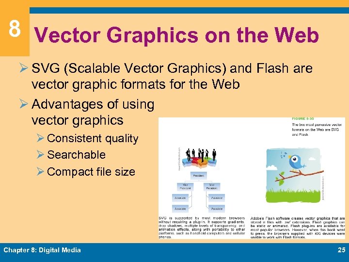 8 Vector Graphics on the Web Ø SVG (Scalable Vector Graphics) and Flash are