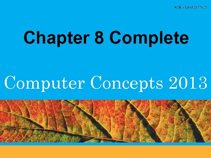 Chapter 8 Complete Computer Concepts 2013 