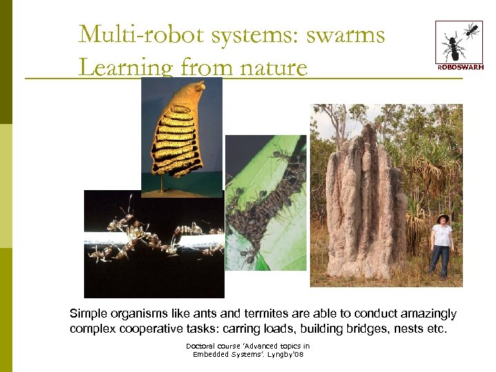 Multi-robot systems: swarms Learning from nature ROBOSWARM Simple organisms like ants and termites are